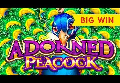 Adorned Peacock Slot – BIG WIN SESSION, NICE!