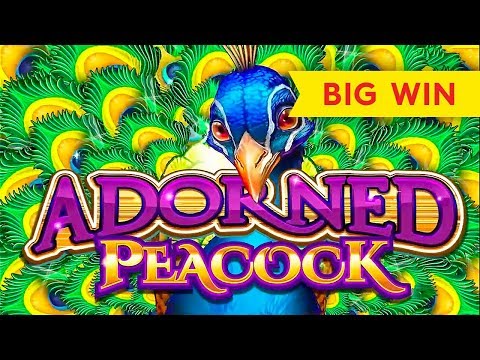 Adorned Peacock Slot – BIG WIN SESSION, NICE!