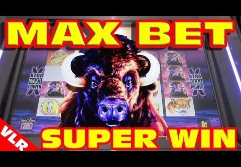 Original Buffalo – MAX BET SUPER BIG WIN – Slot Machine Bonus