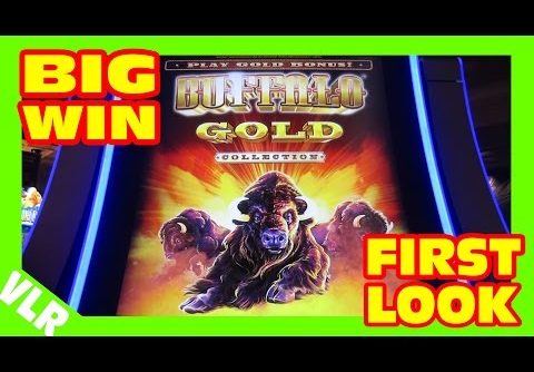 THE NEW BUFFALO GOLD – FIRST LOOK – BIG WIN Slot Machine LIVE PLAY & BONUS