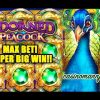 Adorned Peacock Slot – MAX BET! – SUPER BIG WIN!! – Slot Machine Bonus