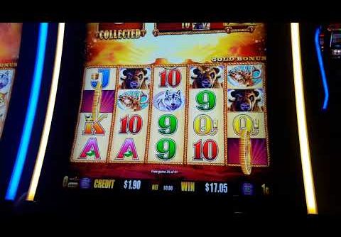 Buffalo slot  huge win at Lake Charles