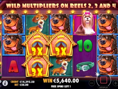 The Dog House Slot