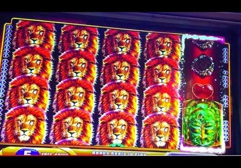 King of Africa -Super Big Win -Bonus!!!🦁