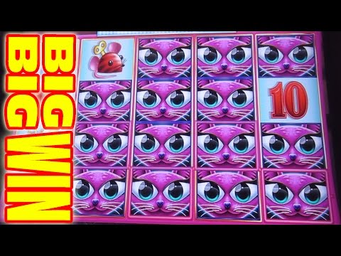 MAX BET BIG BIG WIN – OLD SCHOOL COOL [Slot Machine Max Bet Big Win Bonus]