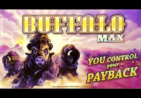 SUPER BIG WIN on BUFFALO MAX SLOT POKIE BONUSES!  PALA CASINO