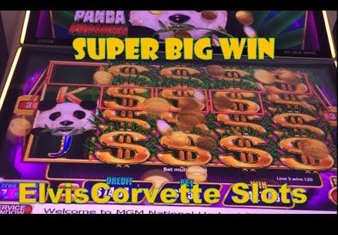 Panda Paradise – Super Big Win | Timber Wolf Grand – Big Win – Great Day at MGM