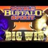 Double Buffalo Spirit – BIG WIN – Slot Machine Mega Bonus