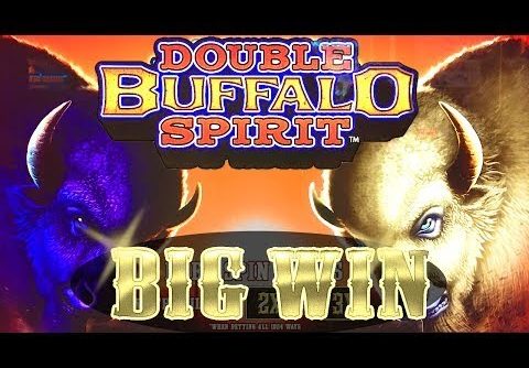 Double Buffalo Spirit – BIG WIN – Slot Machine Mega Bonus