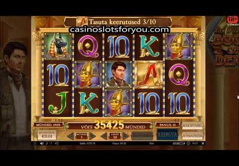 Book of Dead Slot Wildline MEGA Big WIn