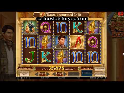 Book of Dead Slot Wildline MEGA Big WIn