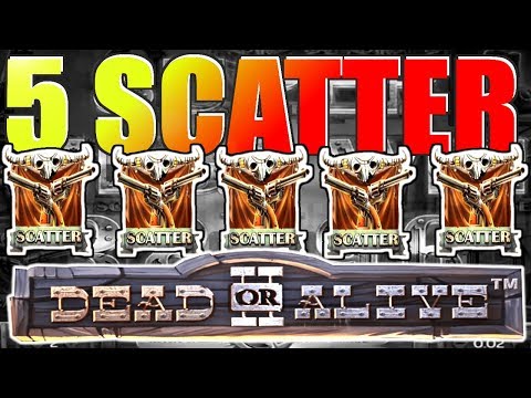 Dead or Alive 2 Slot 5 Scatter MEGA BIG WIN 2507x