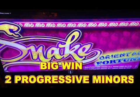 BIG WIN SNAKE ORIENTAL FORTUNE, OTHER SLOTS