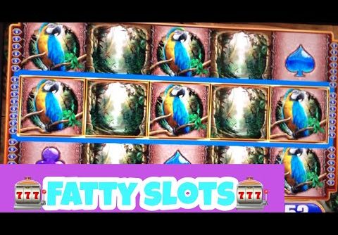 🦜🦍 HUGE Super Big Wins QUEEN OF THE WILD WMS Slot Machine minor progressive 25 spins bonus