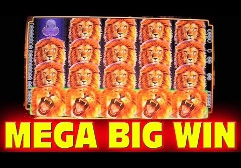 King of Africa MEGA BIG WIN WITH PROGRESSIVE Las Vegas Slot Machine Win