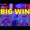 🎰 *Big Win*  *Buffalo Gold *Bouses, Line Hits