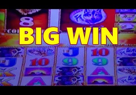 🎰 *Big Win*  *Buffalo Gold *Bouses, Line Hits