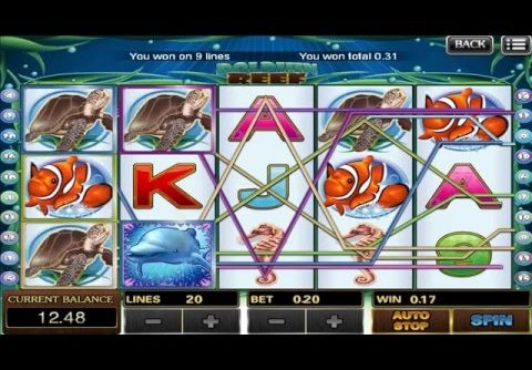 BIG WIN with DOLPHIN REEF Online Slot Game | SCR888 Online Casino Malaysia | BigChoySun