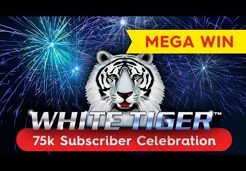 White Tiger Slot – MEGA WIN SESSION – INCREDIBLE RETRIGGER!