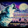 HUGE FRIGGIN WIN On TIMBER WOLF SLOT MACHINE!  PECHANGA CASINO