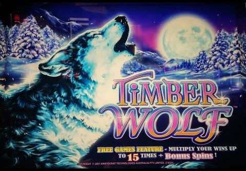 HUGE FRIGGIN WIN On TIMBER WOLF SLOT MACHINE!  PECHANGA CASINO