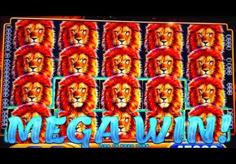 FULL SCREEN MEGA HUGE WIN!!! KING OF AFRICA SLOT MACHINE!!!