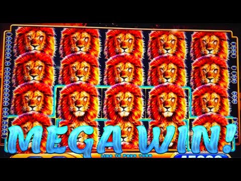 FULL SCREEN MEGA HUGE WIN!!! KING OF AFRICA SLOT MACHINE!!!