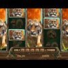 Jungle Spirit: Call of the Wild Slots And Record Win / This Is Super Mega Win Ever