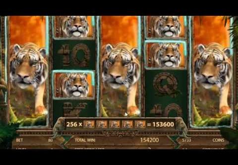 Jungle Spirit: Call of the Wild Slots And Record Win / This Is Super Mega Win Ever