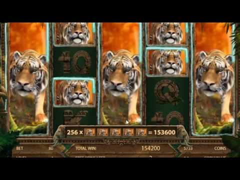 Jungle Spirit: Call of the Wild Slots And Record Win / This Is Super Mega Win Ever