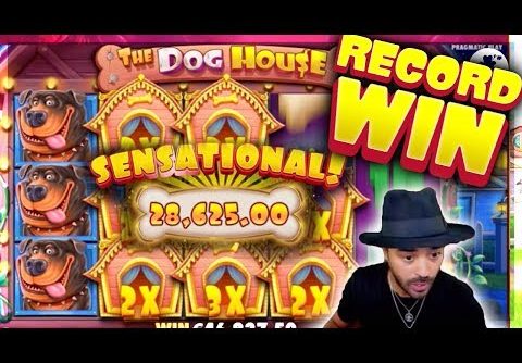 ROSHTEIN €93.000 RECORD WIN on The Dog House – New Record Win