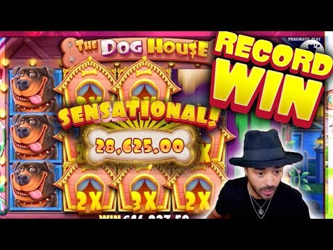 ROSHTEIN €93.000 RECORD WIN on The Dog House – New Record Win