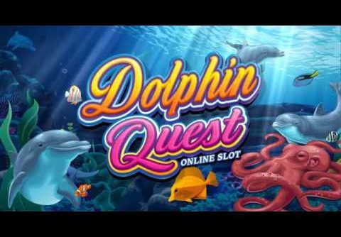 Microgaming Dolphin Quest Slot Review: Big Wins, Jackpots, Bonus Rounds