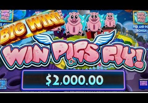 ✅ Super Mega Big Win Casino Online 3.0. When Pigs Fly Slot Machine