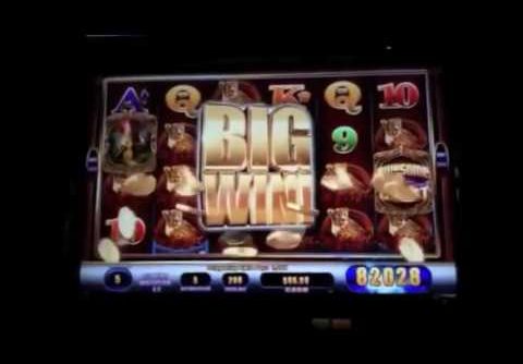 Massive Casino Slot Machine Wins Compilation   Biggest win 2 8 million Jackpot win!
