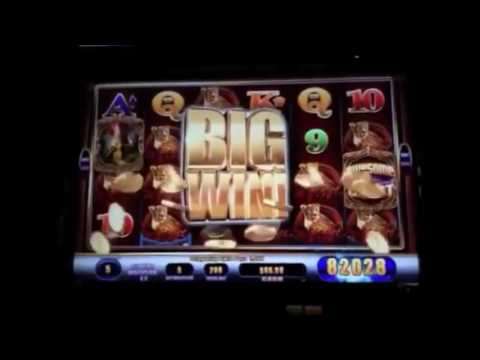 Massive Casino Slot Machine Wins Compilation   Biggest win 2 8 million Jackpot win!