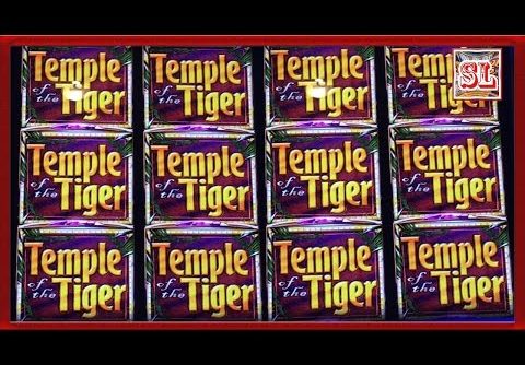 ** SUPER BIG WIN ** Temple Tiger n others ** SLOT LOVER **