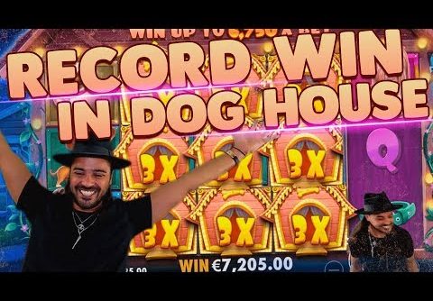 ROSHTEIN Top 3 Record  Wins on The Dog House slot