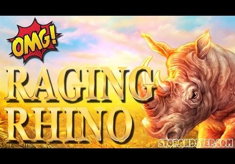 Huge MEGA Win on Raging Rhino