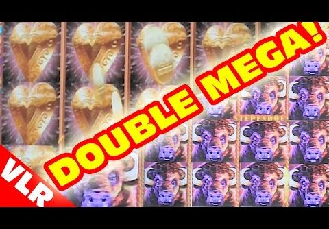 Heart of Gold & Buffalo Stampede – DOUBLE MEGA BIG WIN – Slot Machine Videos