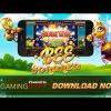 GamingSoft Slots – Bee Bonanza (Mega Win)