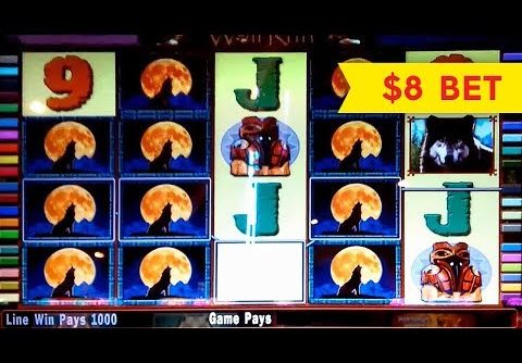 Wolf Run Slot – $8 Max Bet – BONUS & BIG WIN!