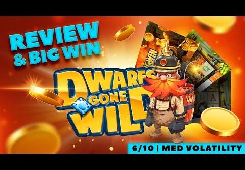 Dwarfs Gone Wild Slot Review (Quickspin) and BIG WIN