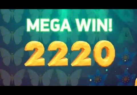 butterfly stacks slot mega wins and free spins