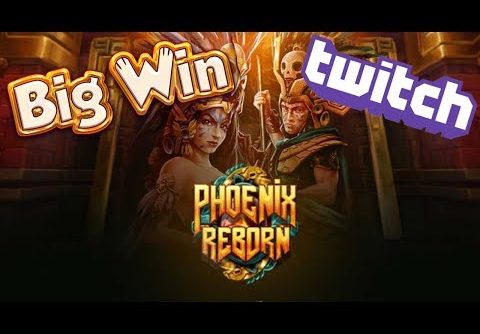 Huge Win on Phoenix Reborn Slot | Play n Go