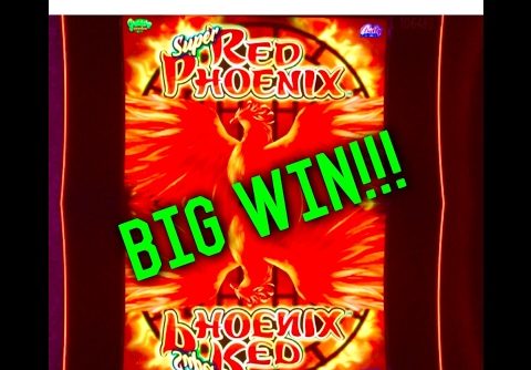 **SUPER RED PHOENIX**BIG WIN! SLOT MACHINE BONUS, LIVE PLAY! by Bally!!