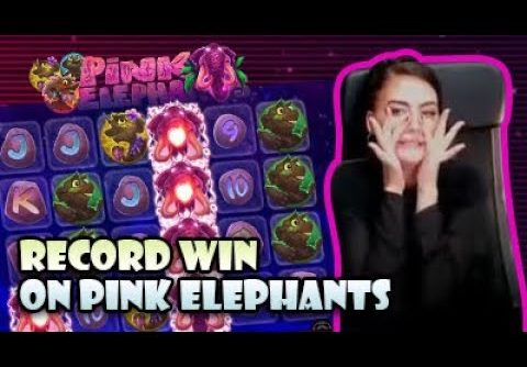 RECORD WIN ON PINK ELEPHANTS