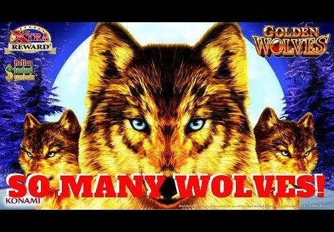 SUPER BIG WIN!  GOLDEN WOLVES SLOT MACHINE POKIE by KONAMI  PALA CASINO