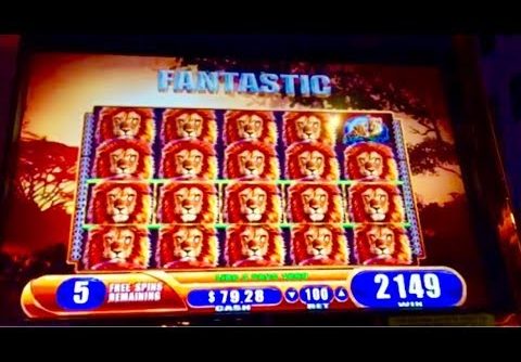 HUGE MEGA WIN BONUS!!! LIONS EVERYWHERE!!! KING OF AFRICA SLOT MACHINE!!!