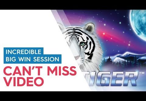 White Tiger Slot – HUGE WIN, MY BEST EVER!